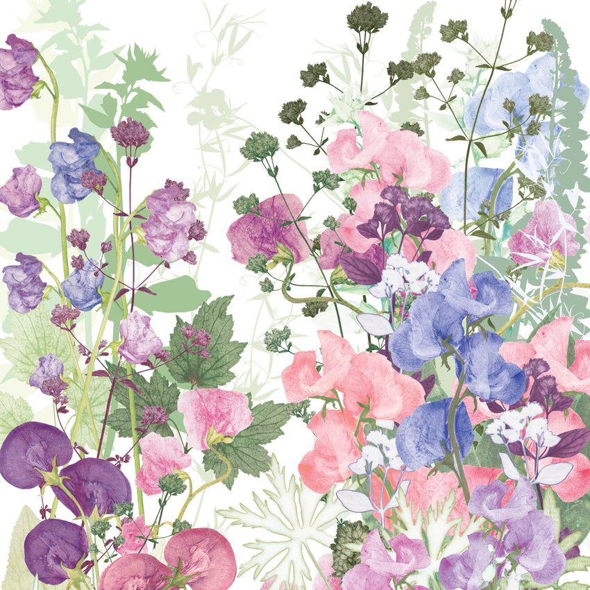 Sweet Pea Tangle Print