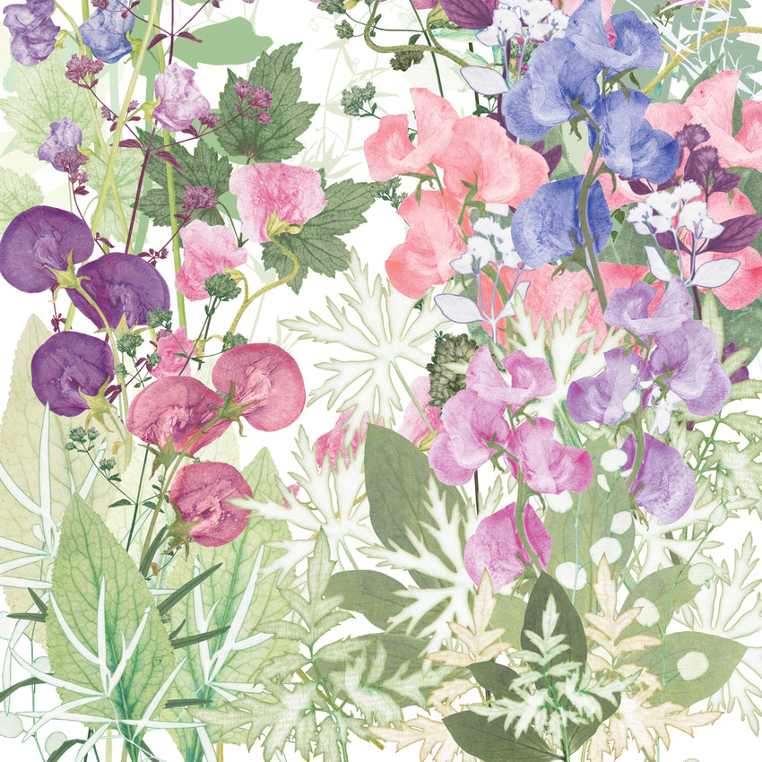 Sweet Pea Tangle Print