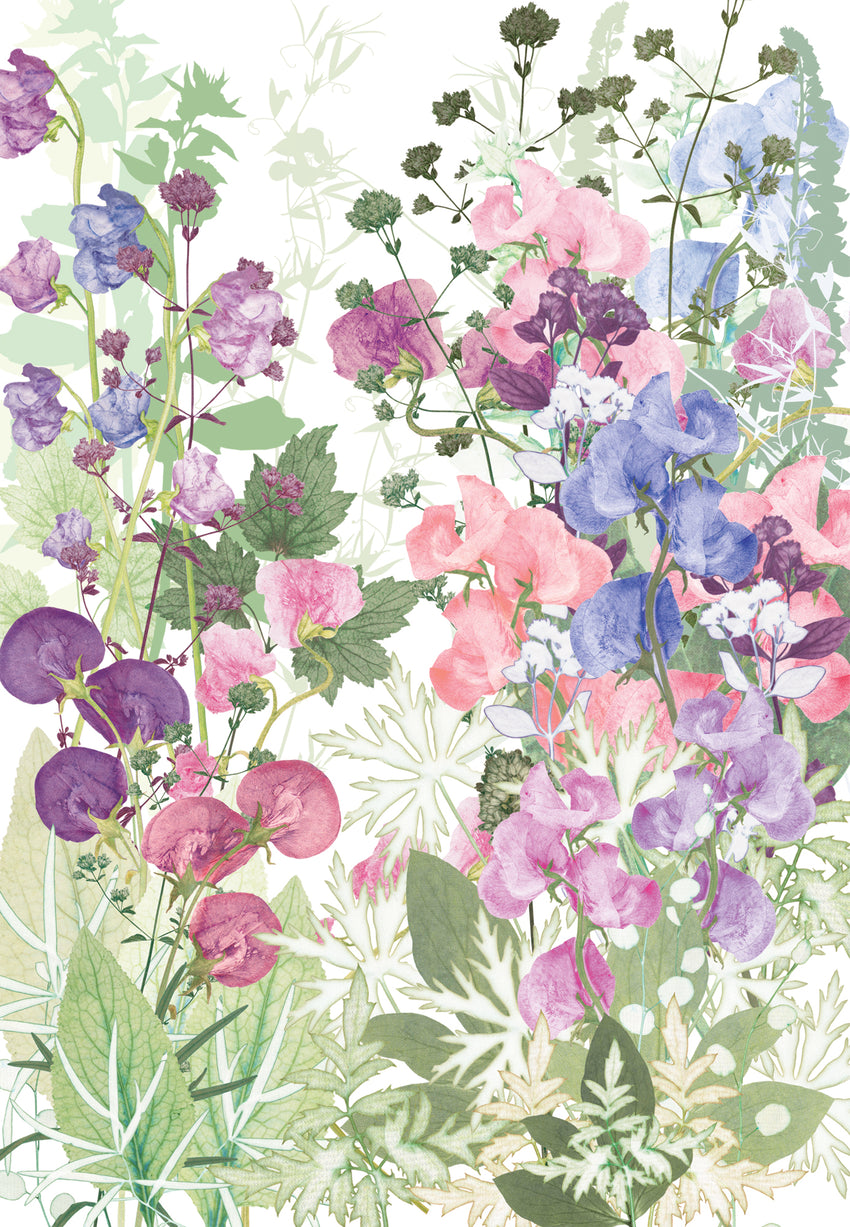 Sweet Pea Tangle Print