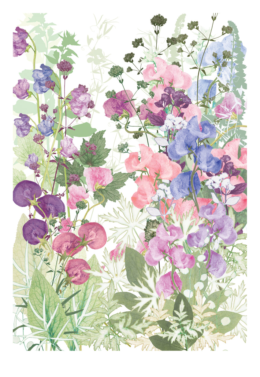 Sweet Pea Tangle Print