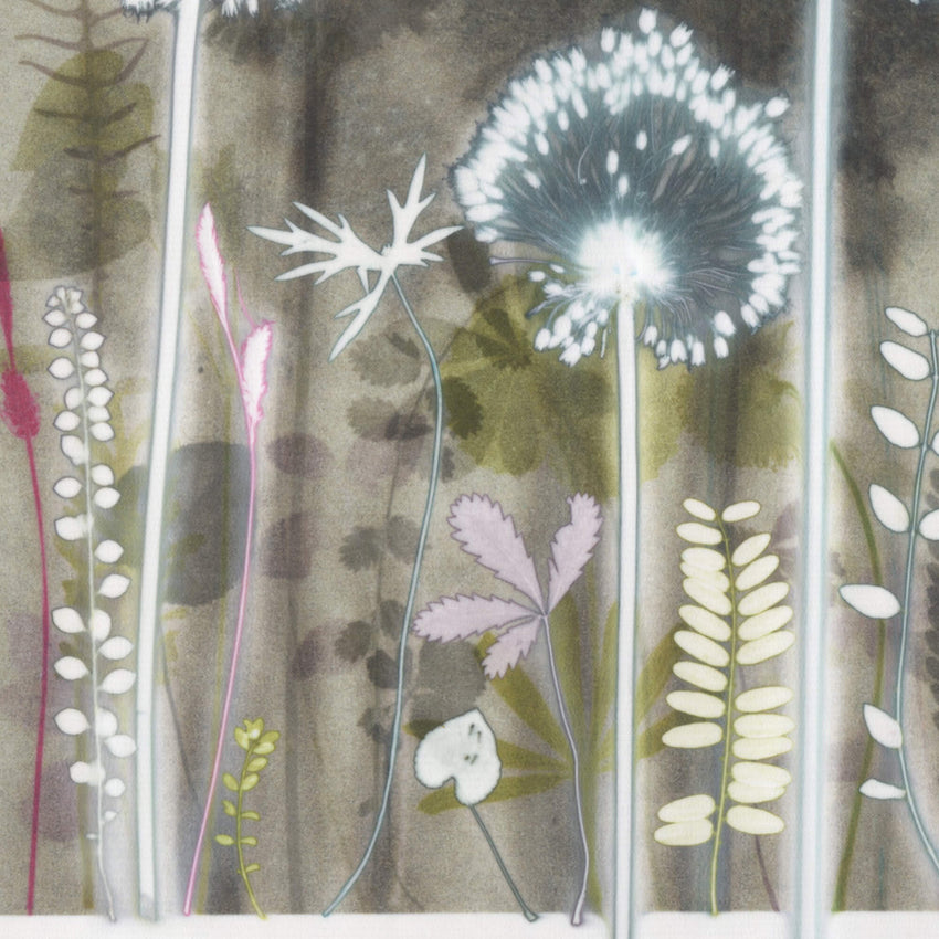Three Alliums and Red Grass