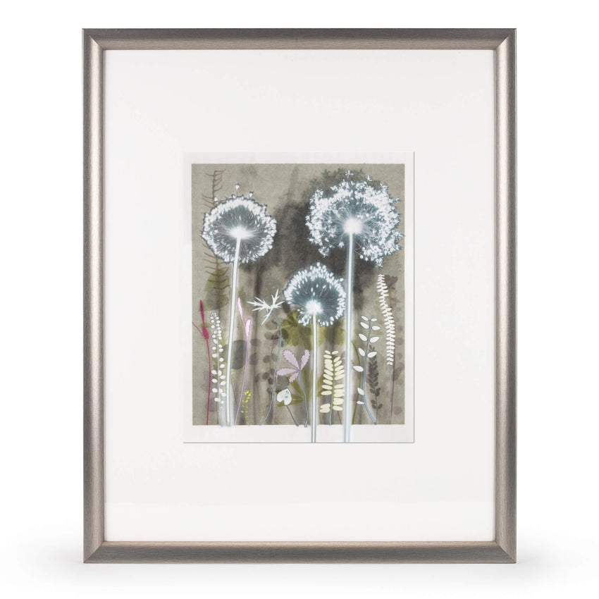 Three Alliums and Red Grass