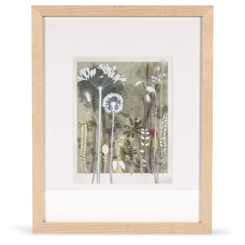 Tiny Allium from Chelsea