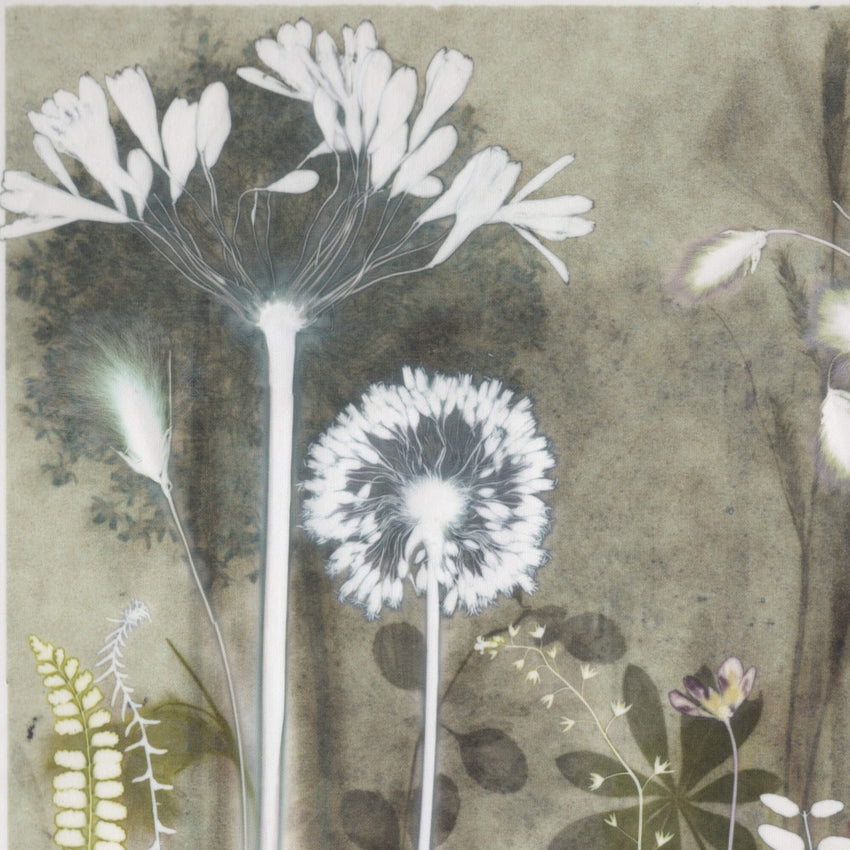 Tiny Allium from Chelsea