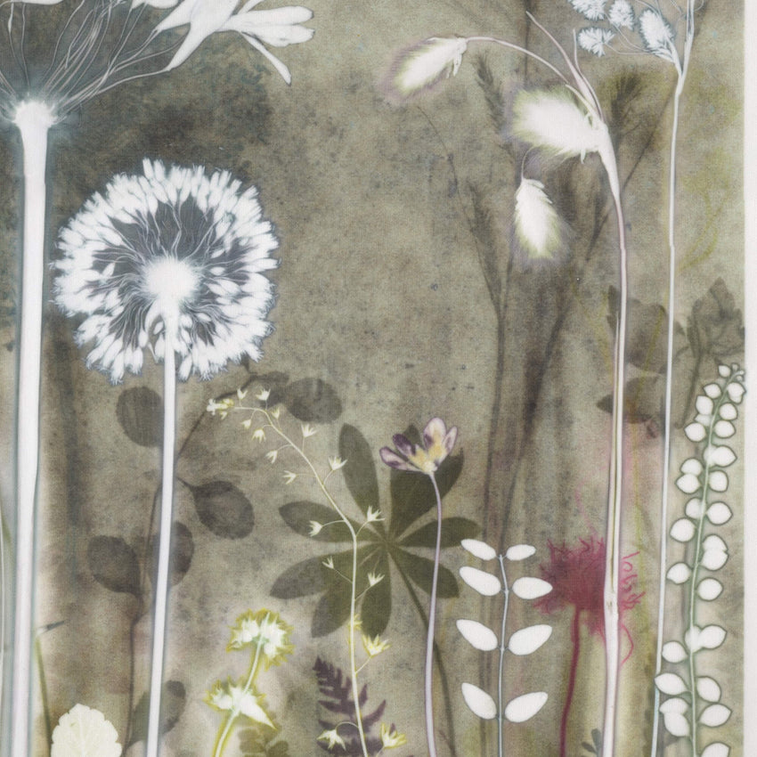 Tiny Allium from Chelsea