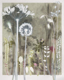 Tiny Allium from Chelsea