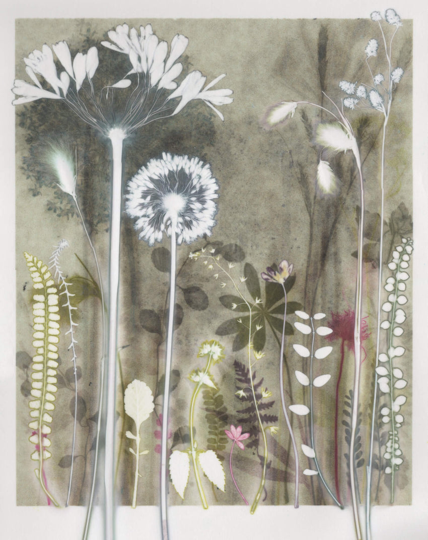 Tiny Allium from Chelsea