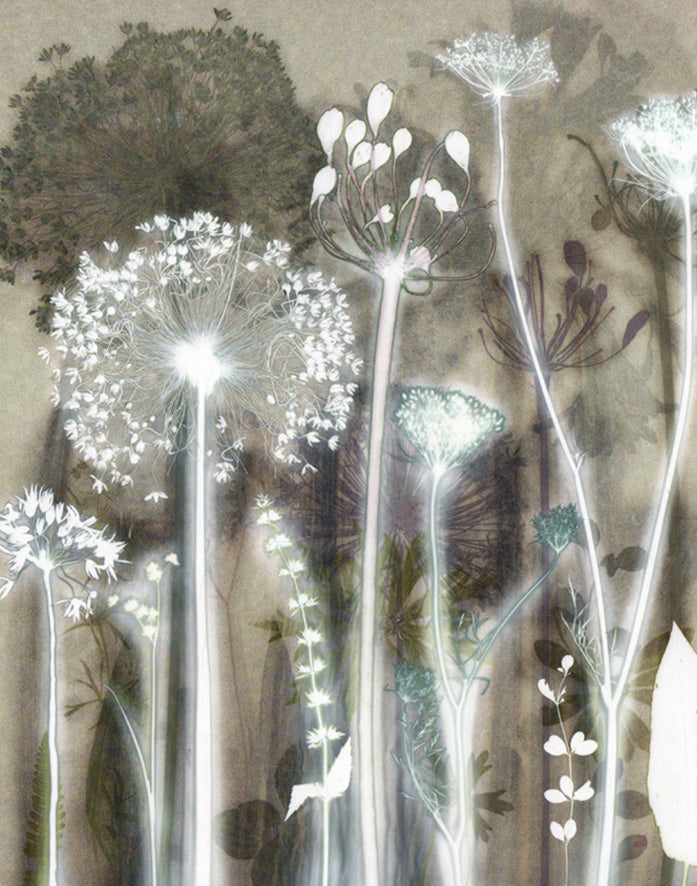 Twilight Garden