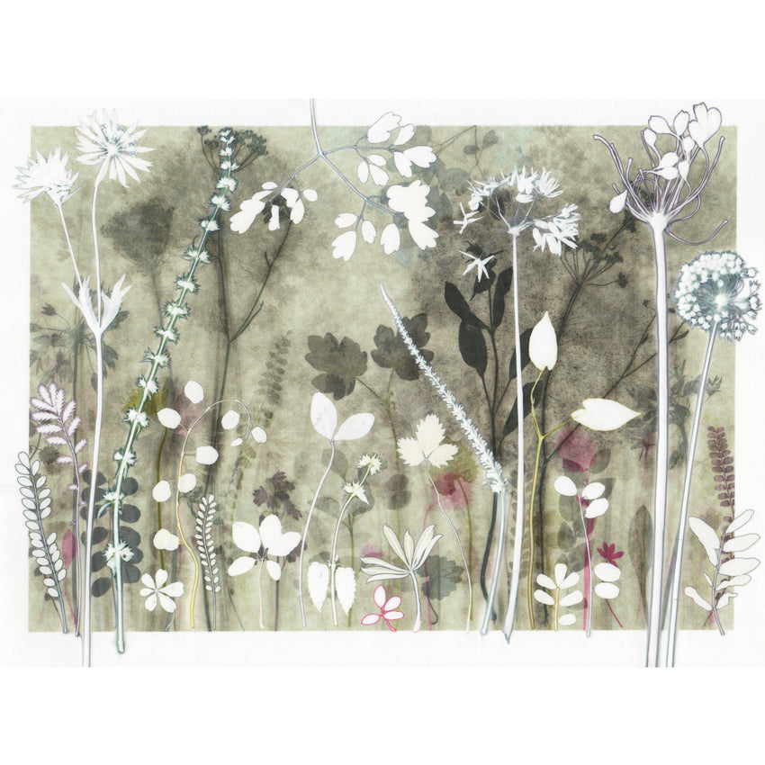Walk in the Shires, Print