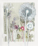 White Allium Print