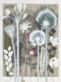 White Daisy