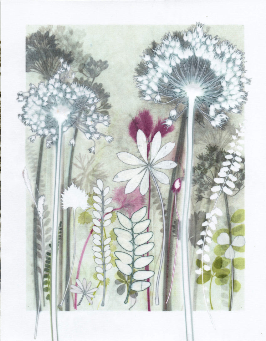 White Garden with Lupin leaf, 30 x 40 cm
