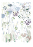 Wild Carrot Print