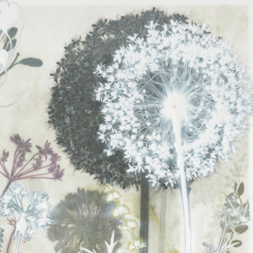Wild Garlic and Cranesbill Original Print