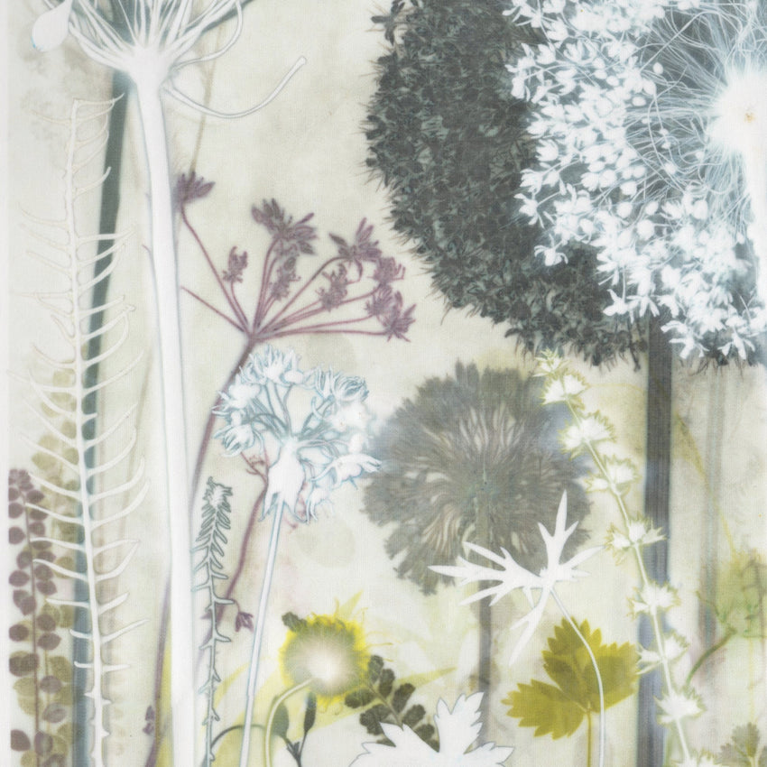 Wild Garlic and Cranesbill Original Print