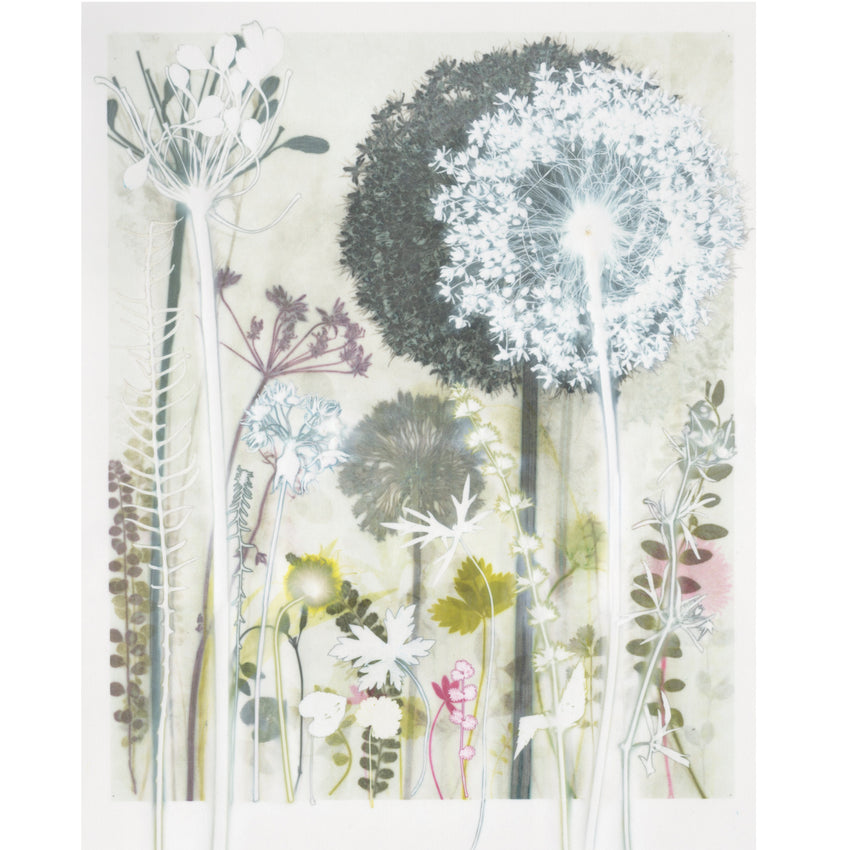 Wild Garlic and Cranesbill Original Print