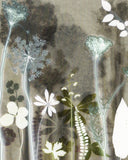 Wild Flowers and Leaves