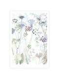 Wild Carrot Print