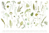 'Wiltshire' Print