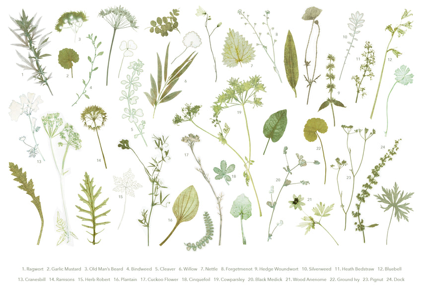 'Wiltshire' Print