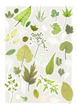 Winter leaf Print 2