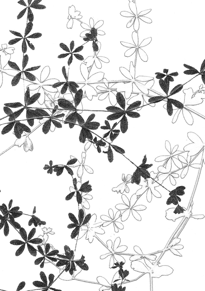 Leaves Card Bundle
