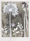 Bright Forgetmenot