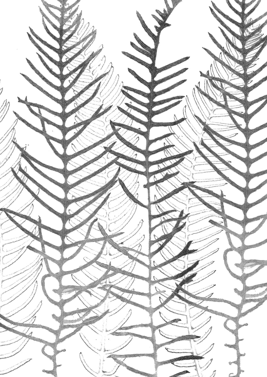 Leaves Card Bundle