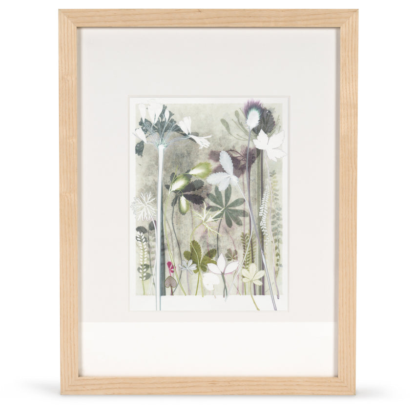 Green Cotton Sedge, 30 x 40 cm