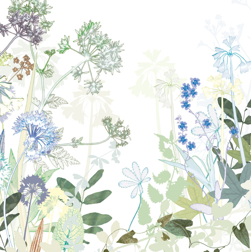 Hedgerow Limited Edition Print