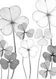 Leaves Card Bundle