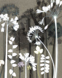 Study wth Wild Garlic