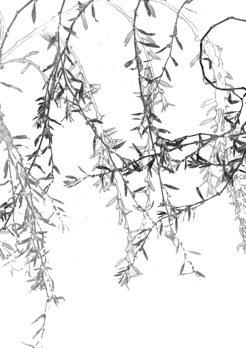 Leaves Card Bundle